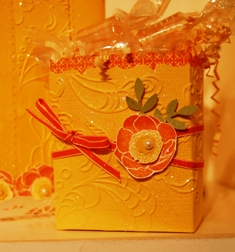 Display 5