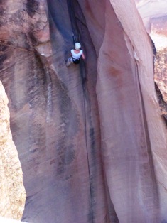 SEM reppelling blog picture