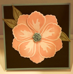 Blush Blossom Flower