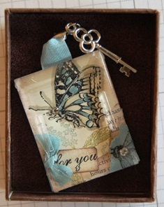 Windowpane butterfly