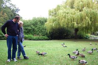 Victoria Park w ducks 2