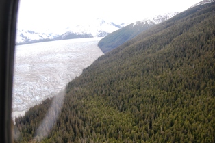 Float Plane 1 Float Plane 1