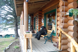 Taku Lodge gift shop w bear