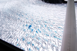 Taku ~ Glacier Blue Ice