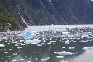 Tracy Arm Fjord 3