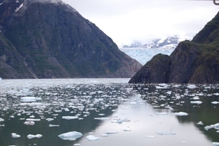 Tracy Arm Fjord 4