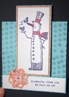 Snow Much Fun panel card