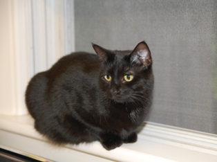 Jupiter October 2011