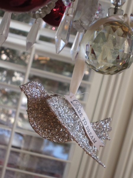 Blog_Jan12_BirdDaze_Day6