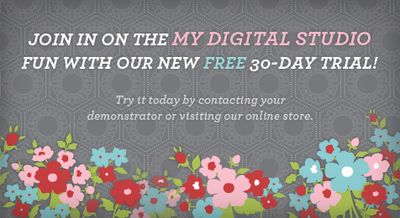 Mds_expresstrial_feb1