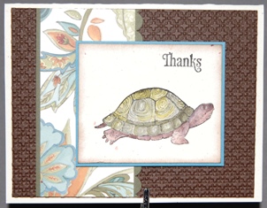 Nature's Nest ~ turtle