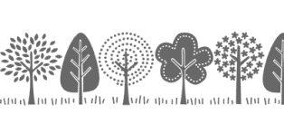 Funky Forest Wheel Funky Forest Wheel