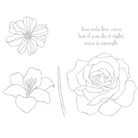 Fifth Avenue Floral 3 Fifth Avenue Floral 3