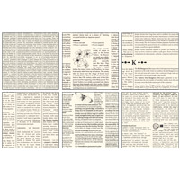 First Edition Paper