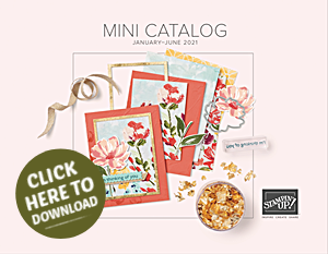 2021 Jan June Stampin Up Mini Catalog 2