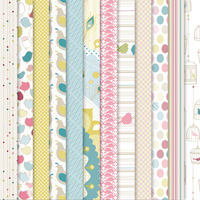 Birds of a Feather DSP