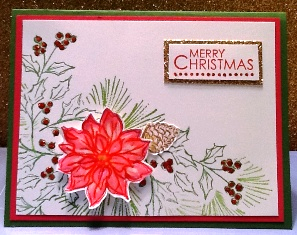 Janie's poinsetta Janie's poinsetta