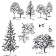 Lovely As a Tree Lovely As a Tree