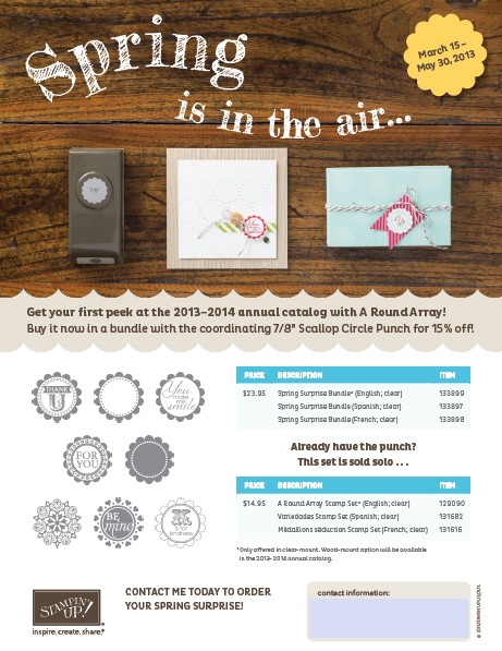 SpringSurpriseflyerpicture SpringSurpriseflyerpicture